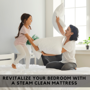 Steam Clean Mattress